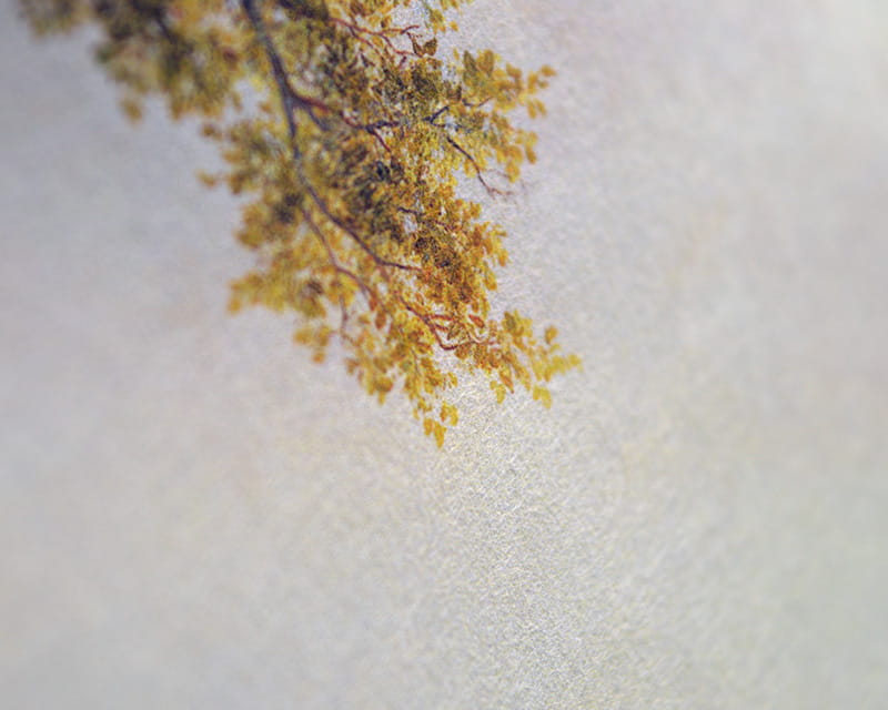 Murakumo Natural, 42g (Papier japonais fin, naturel)  14