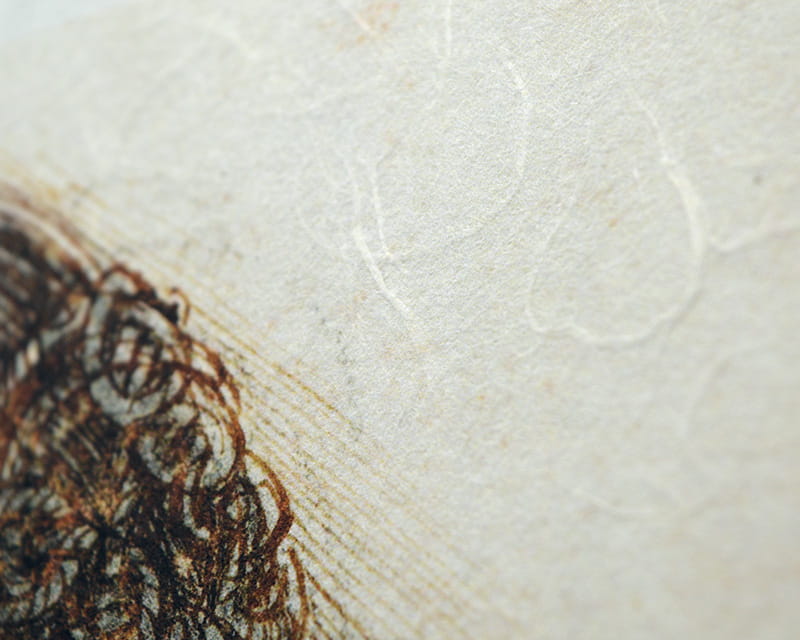 Premio Unryu, 165g (Washi aux fibres de kozo trouble)  22