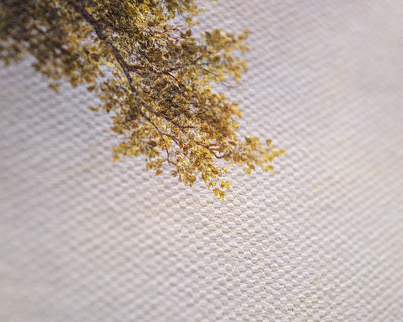 Toile Salvador (mate) (Canvas Florenz)  15