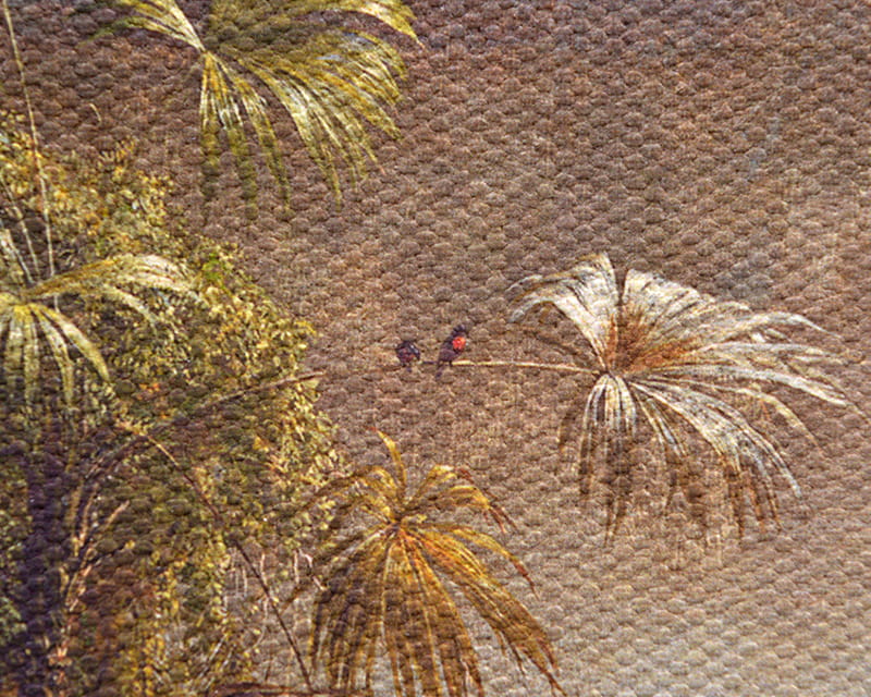 Toile Salvador (mate) (Canvas Florenz)  16