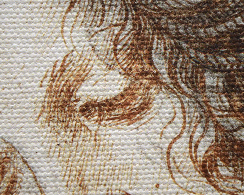 Toile Salvador (mate) (Canvas Florenz)  33