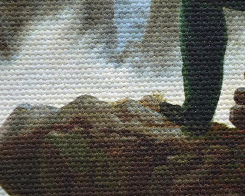 Toile Salvador (mate) (Canvas Florenz)  8
