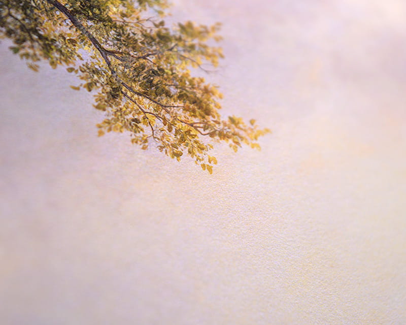 FineArt Photo matte (Museum Natural Smooth)  25