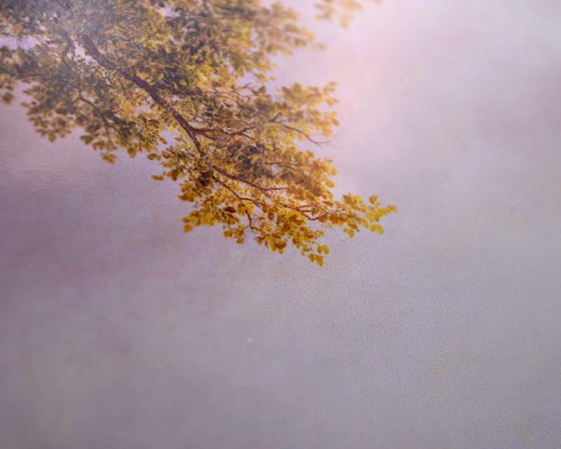 FineArt Photo brillant (PGC 310 FD)  28