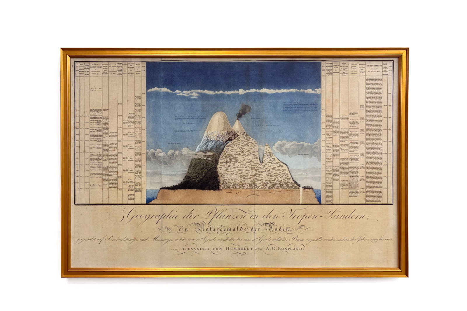 Géographie des plantes dans les pays tropicaux, une étude des Andes, dessinée par Schoenberger et Turpin, imprimée par Langlois, Paris - Baron Friedrich Alexander von Humboldt