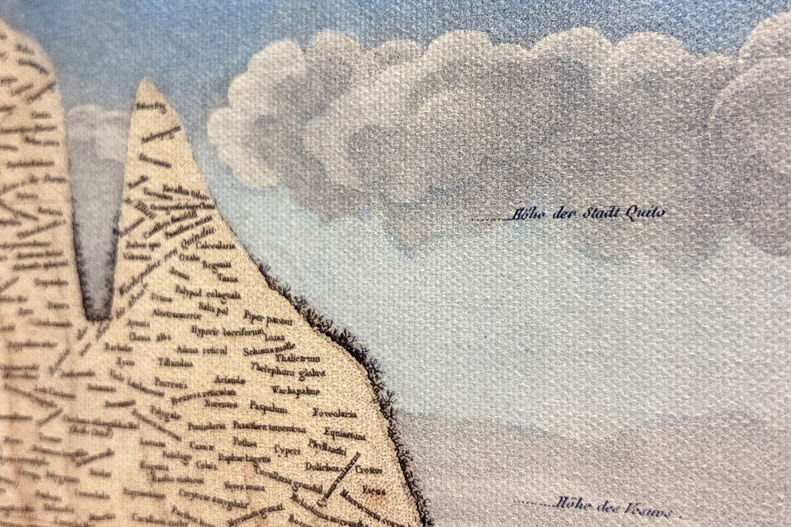 Géographie des plantes dans les pays tropicaux, une étude des Andes, dessinée par Schoenberger et Turpin, imprimée par Langlois, Paris - Baron Friedrich Alexander von Humboldt