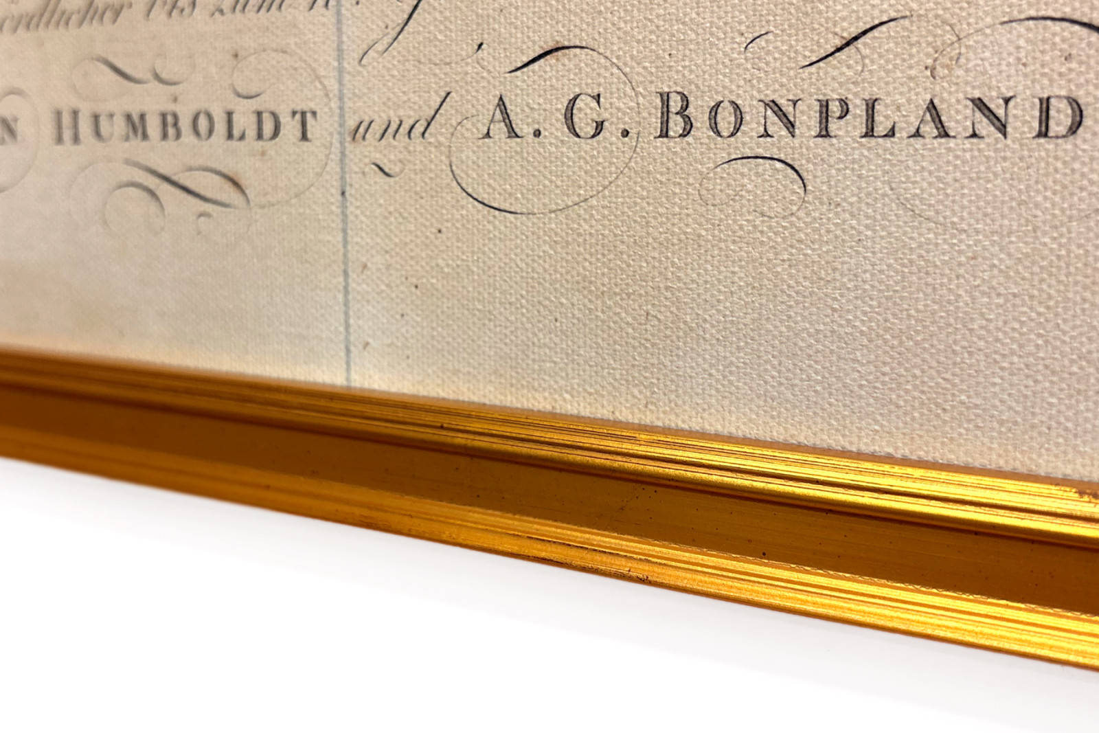 Géographie des plantes dans les pays tropicaux, une étude des Andes, dessinée par Schoenberger et Turpin, imprimée par Langlois, Paris - Baron Friedrich Alexander von Humboldt
