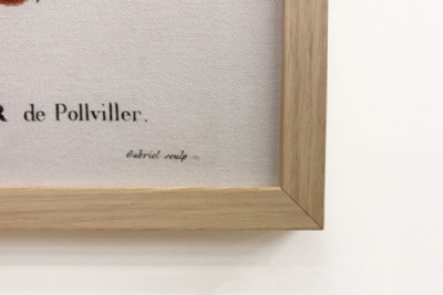 Poirier de Pollviller - dans Nouveau Duhamel du Monceau ou traité des arbres et arbustes que l'on cultive en France, figures d'après les dessins de P.J. Redouté et P. Bessa, Paris