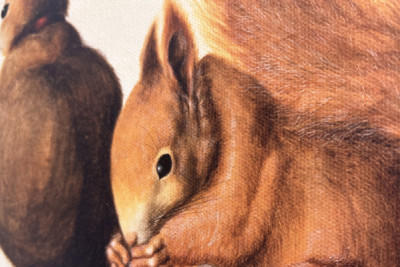 Écureuils, 1512