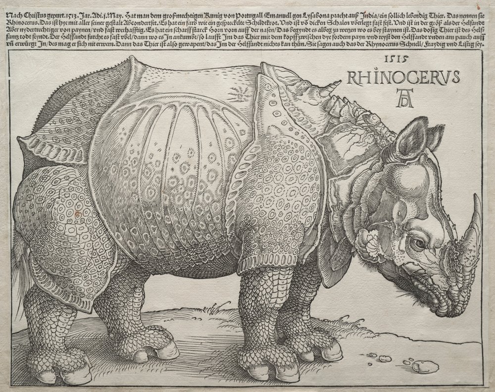 Le Rhinocéros, 1515 - Albrecht Dürer