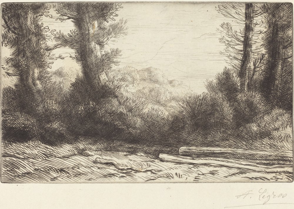 Lisière de bois - Alphonse Legros