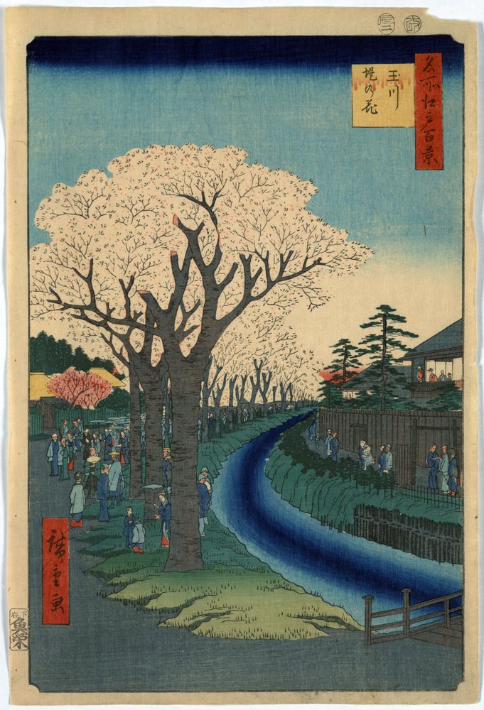 Promeneurs admirant les cerisiers en fleurs le long des rives de la rivière Tama à Edo, gravure sur bois par Ando Hiroshige - Ando or Utagawa Hiroshige