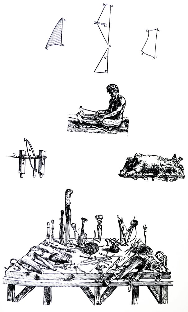 Les Planches du Deuxième Livre de De Humani Corporis Fabrica - Andreas Vesalius