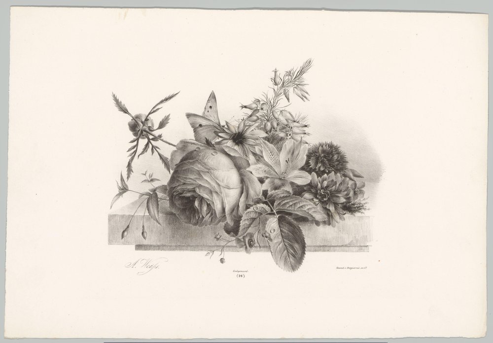 Roses, lys, fleurs en forme de cloche et papillon - Anton Weiss