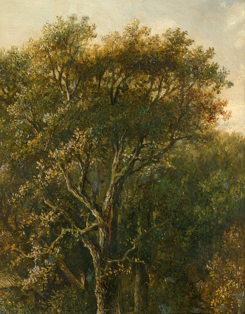 Forêt avec chêne - Carl Gustav Carus