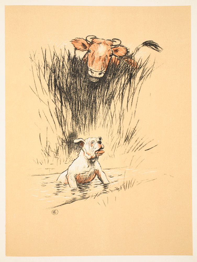 Taureau et chien dans un champ - Cecil Charles Windsor Aldin