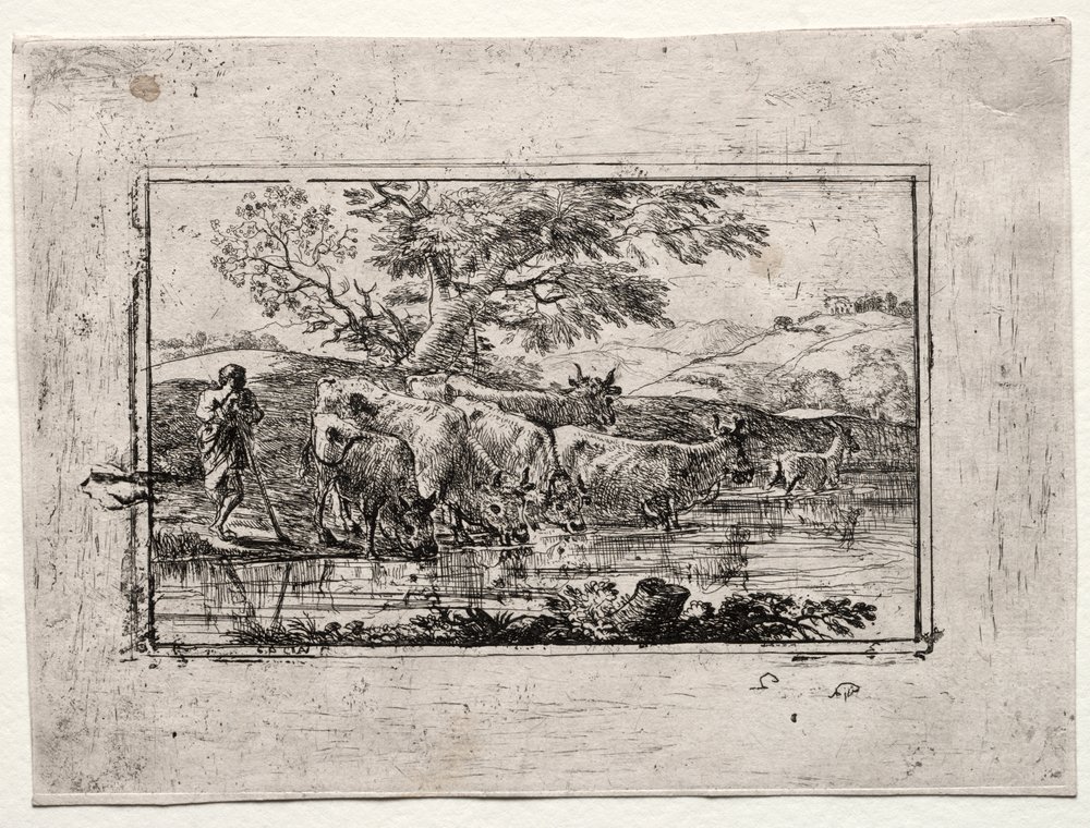 Le troupeau à l