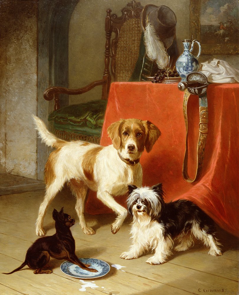 Trois chiens - Conradyn Cunaeus
