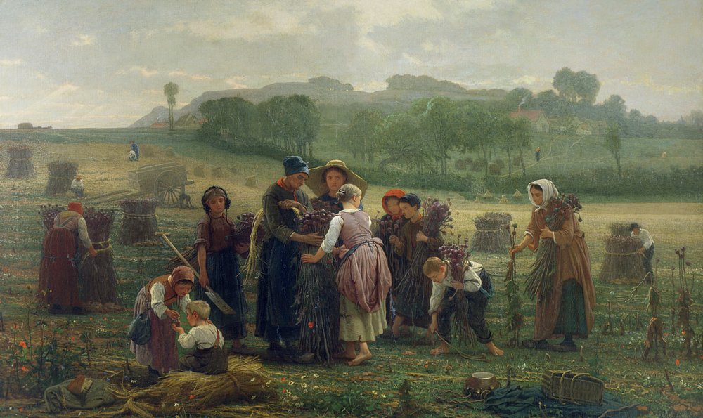 Récolte de pavots en Picardie, 1860 - Desire Francois Laugee