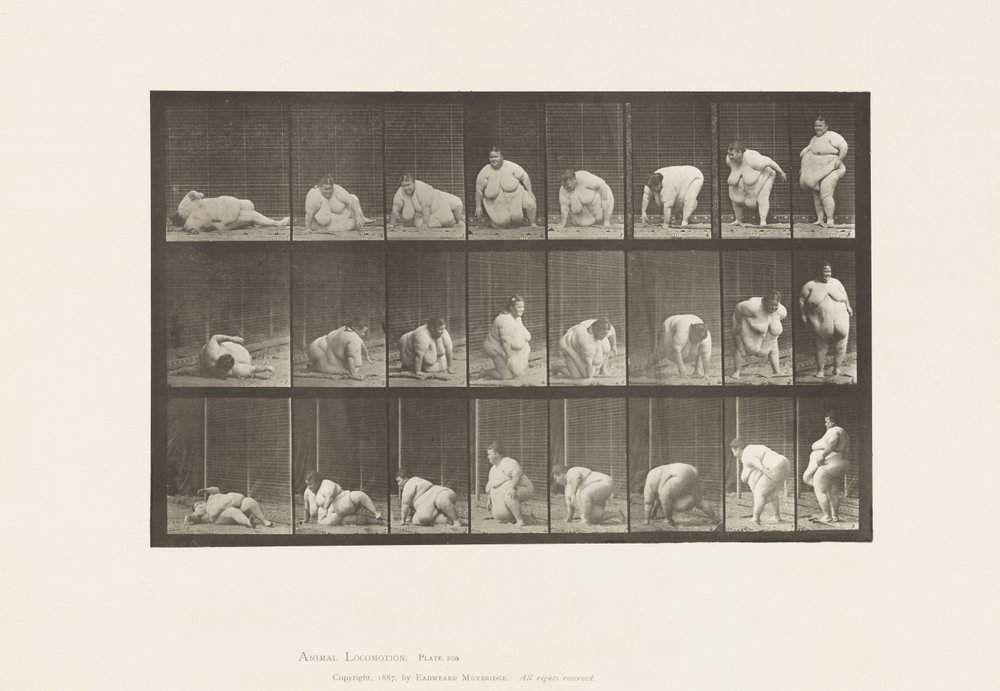 Planche 268. Se lever du sol - Eadweard Muybridge