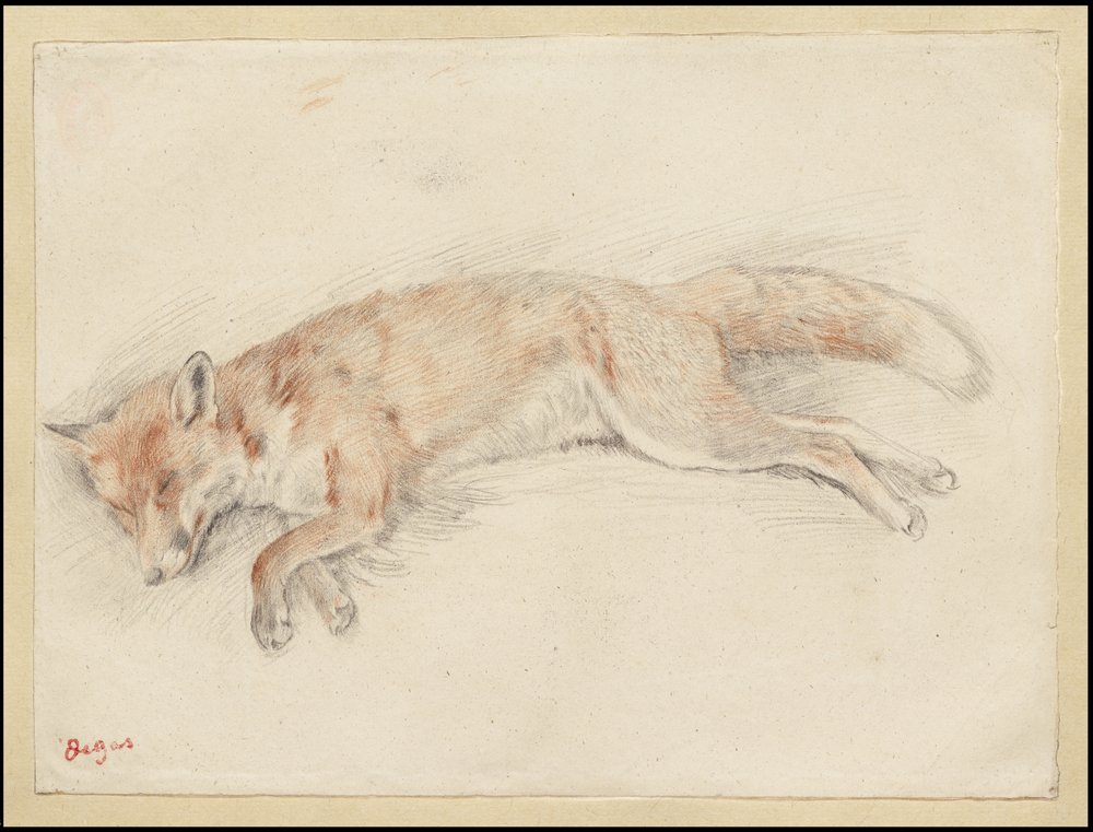 Étude pour "Renard mort dans la forêt", vers 1861-64 - Edgar Degas
