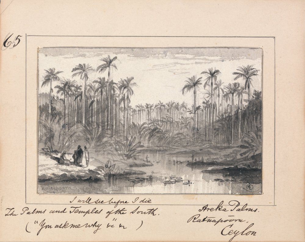 | Edward Lear | Estampe d'art