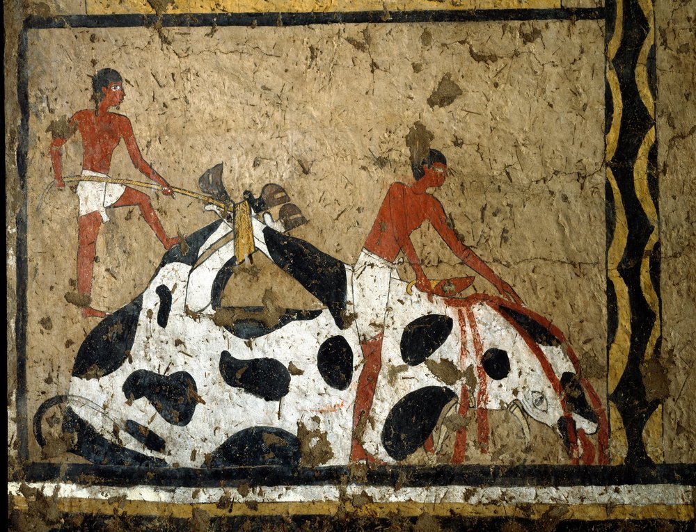 Antiquités égyptiennes : un taureau est sacrifié devant un sarcophage. Détrempe sur argile et paille provenant de la tombe du général et chancelier du roi Iti à El Ghebelen près de Louxor. 2200-2000 av. J.-C. Turin, Musée égyptien. - First Intermediate Period Egyptian