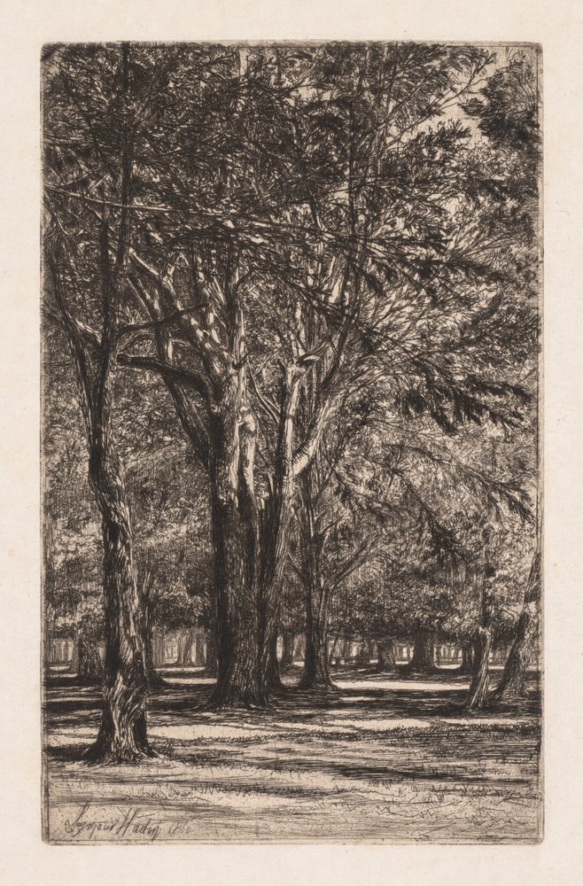 Jardins de Kensington, n° 2 La plus grande plaque, 1860 - Francis Seymour Haden