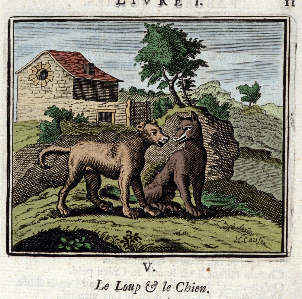 Le Loup et le Fables de Jean de La Fontaine  Illustration de François Chauveau Édition de 1728 - Main Image