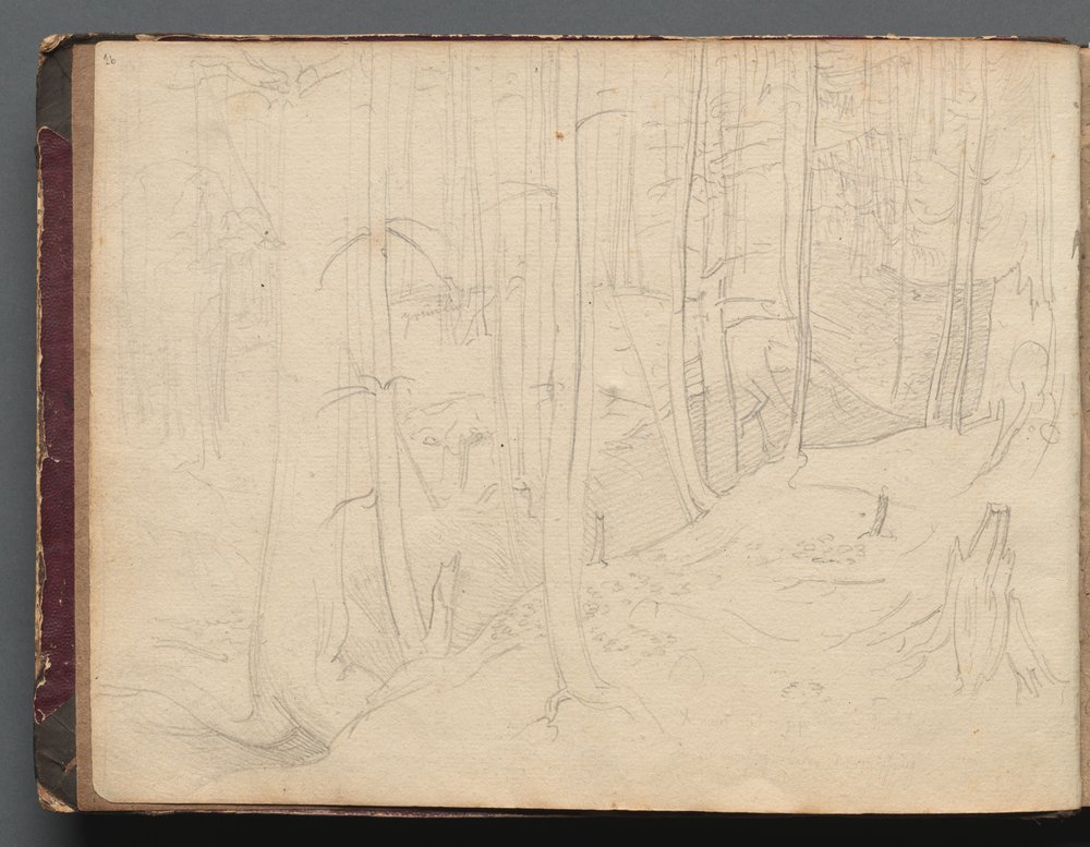 Album de vues de Rome et de ses environs, Études de paysages, page 01b : Paysage romain - Franz Johann Heinrich Nadorp