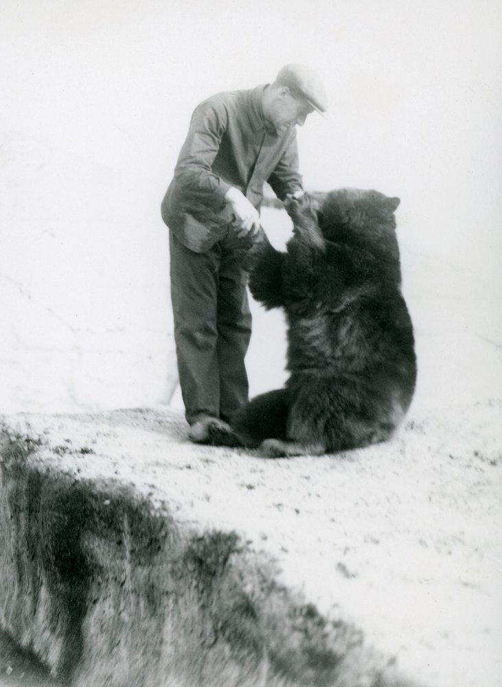 Gardien Charlie Philips tenant la main d'un ours noir assis au zoo de ...