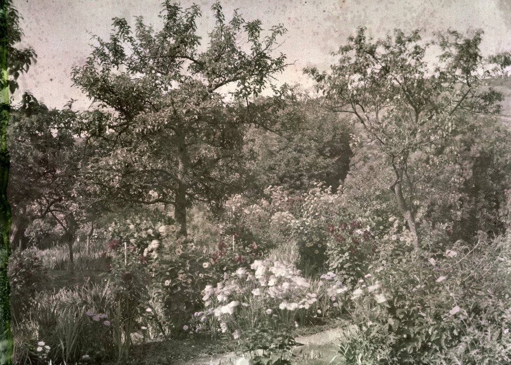 Vue de Giverny, le jardin de Monet, début des années 1920 - French Photographer