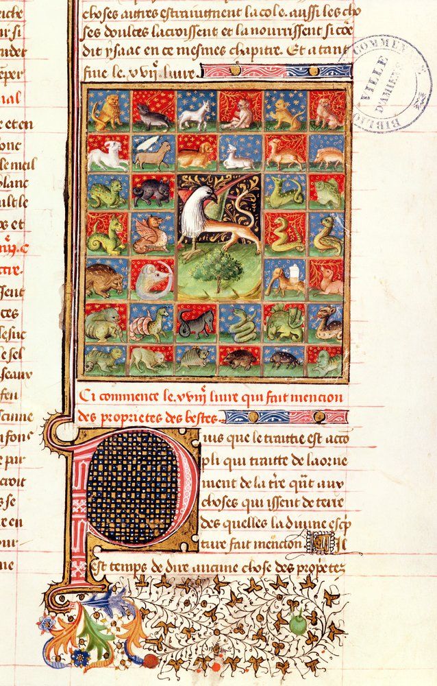 Ms 399 fol.241 Les propriétés des animaux, du 