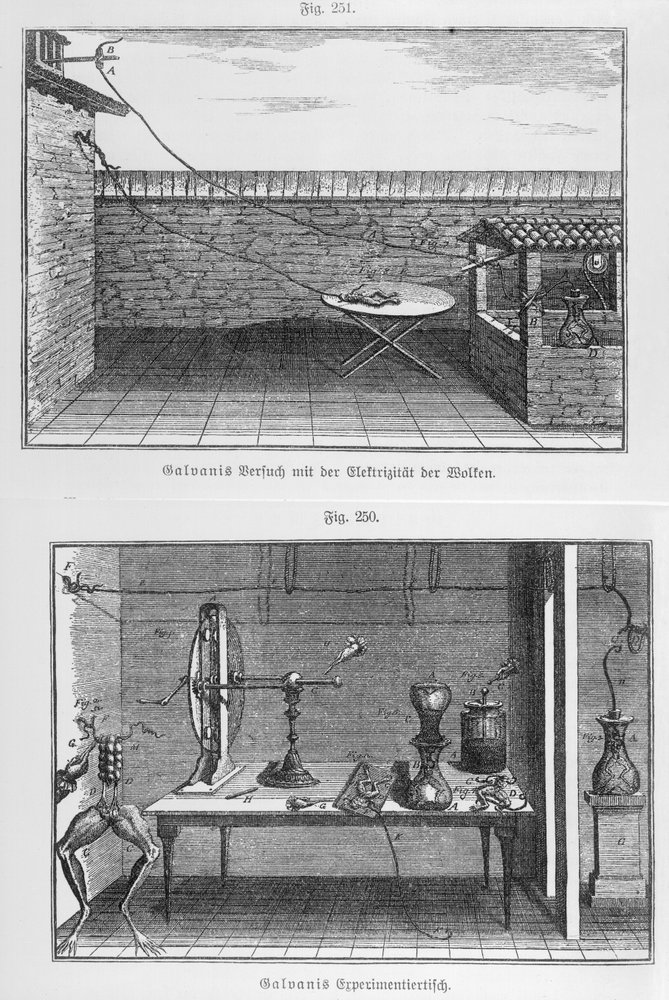 Expérience sur des grenouilles par Louis Galvani (1737-98) fin du 18e siècle - French School