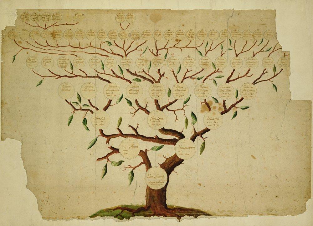 Arbre généalogique de la famille Bach, c.1750-1770 - German School