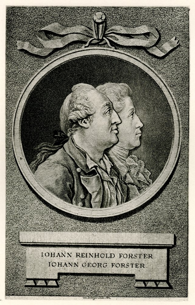 Johann Georg Forster | German School | Estampe d'art