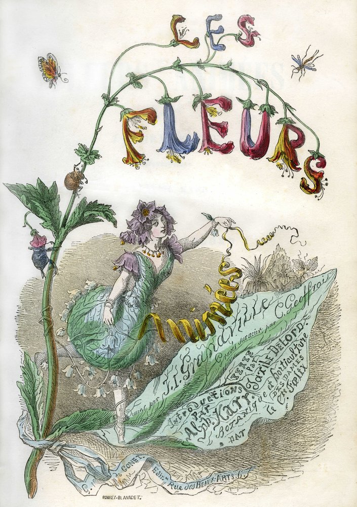 Frontispice du livre "Les Fleurs animées", illustré par Grandville, gravure colorée au pochoir. Édition Gonet 1857 - Grandville (1803-47)