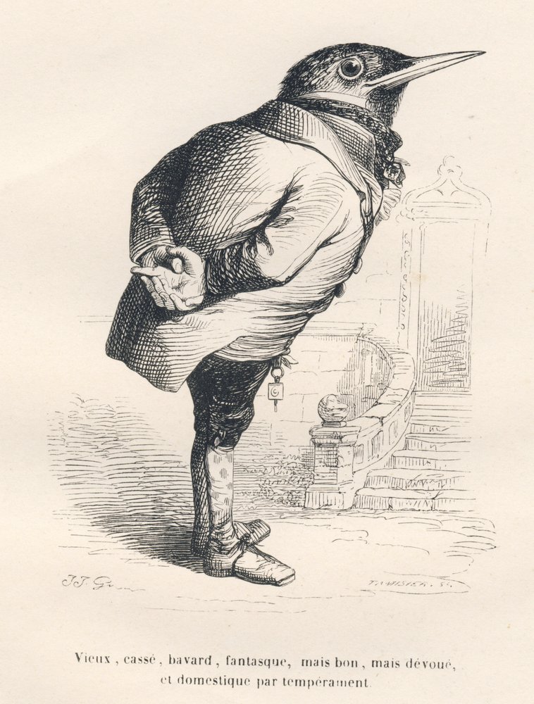 Merle "vieux, cassé, bavard, fantasque mais bon mais dévoué et domestique par tempérament". Vignettes illustrées par JJ Granville. Gravure signée Tamisier dans "Souvenirs d