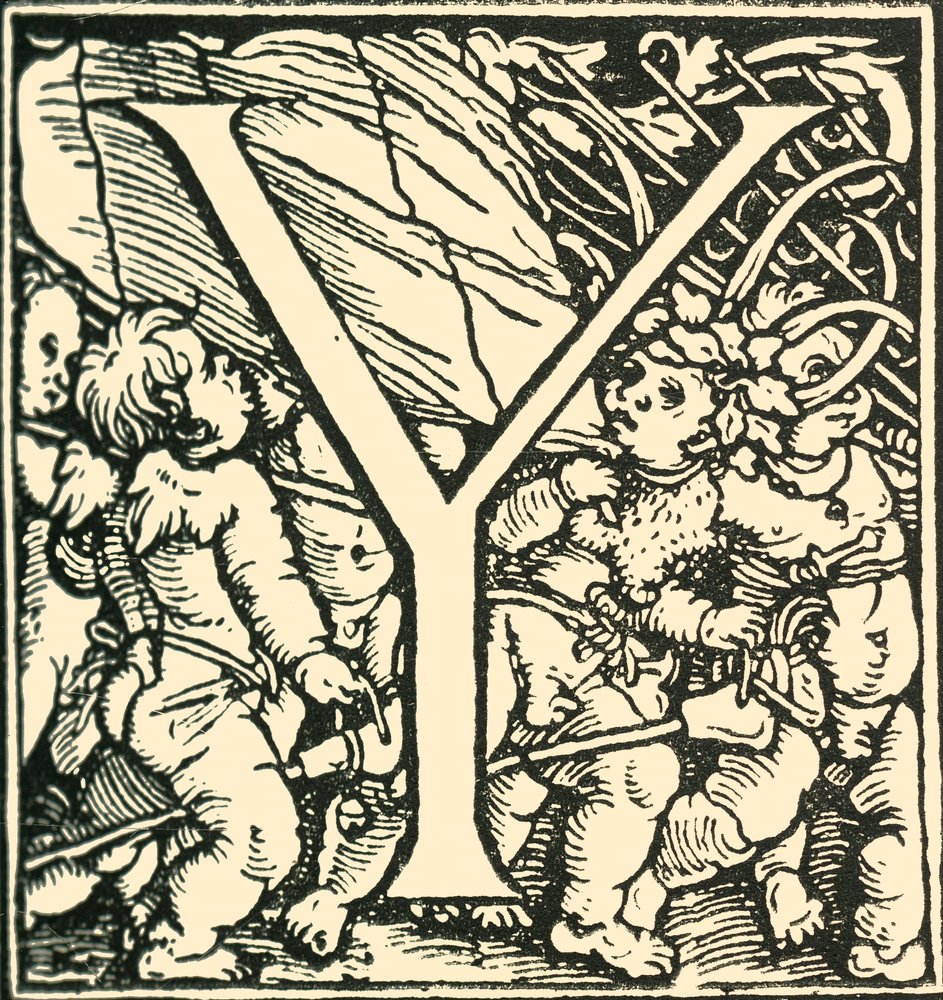 Y - Un alphabet par Hans Weiditz, c1520-1521, 1908