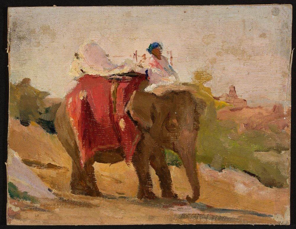 Chitorgarh - Mon éléphant. D