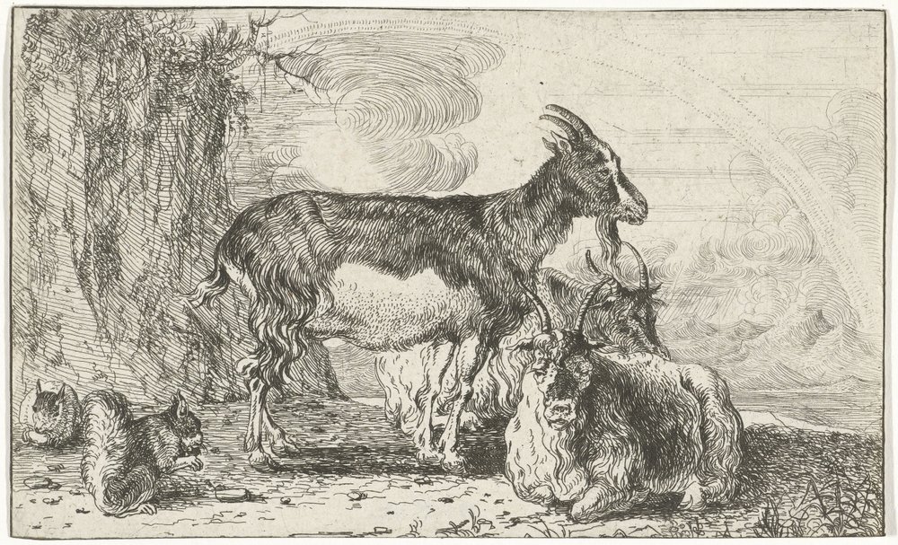 Chèvres - Jan van den Hecke