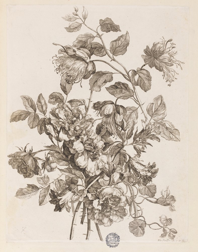 Planche de "Le Livre de toutes sortes de fleurs d