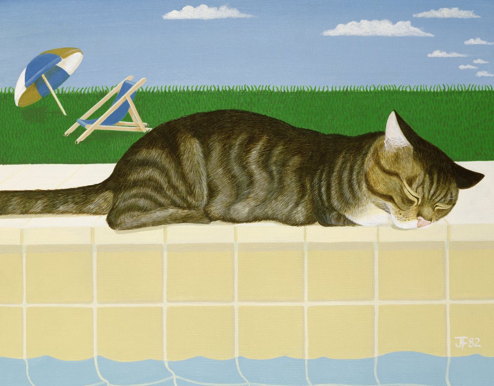 Chat tigré près d'une piscine - Joan Freestone