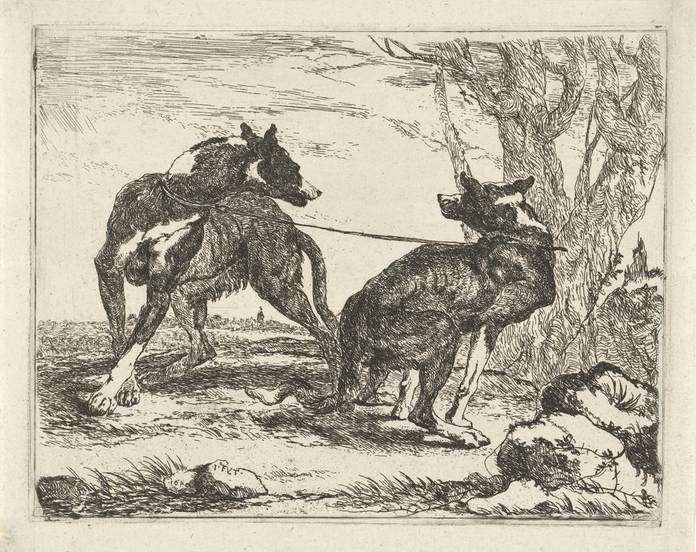 Deux chiens | Joannes Fijt | Estampe d'art