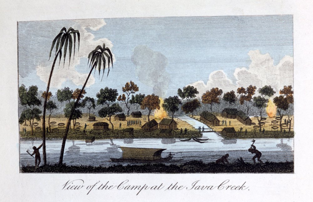Vue du camp au ruisseau Java, 1813 | John Gabriel Stedman