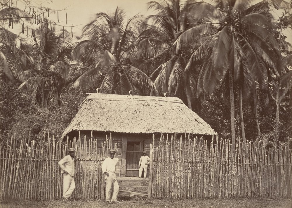 Paysage tropical, hutte indigène, Turbo - John Moran