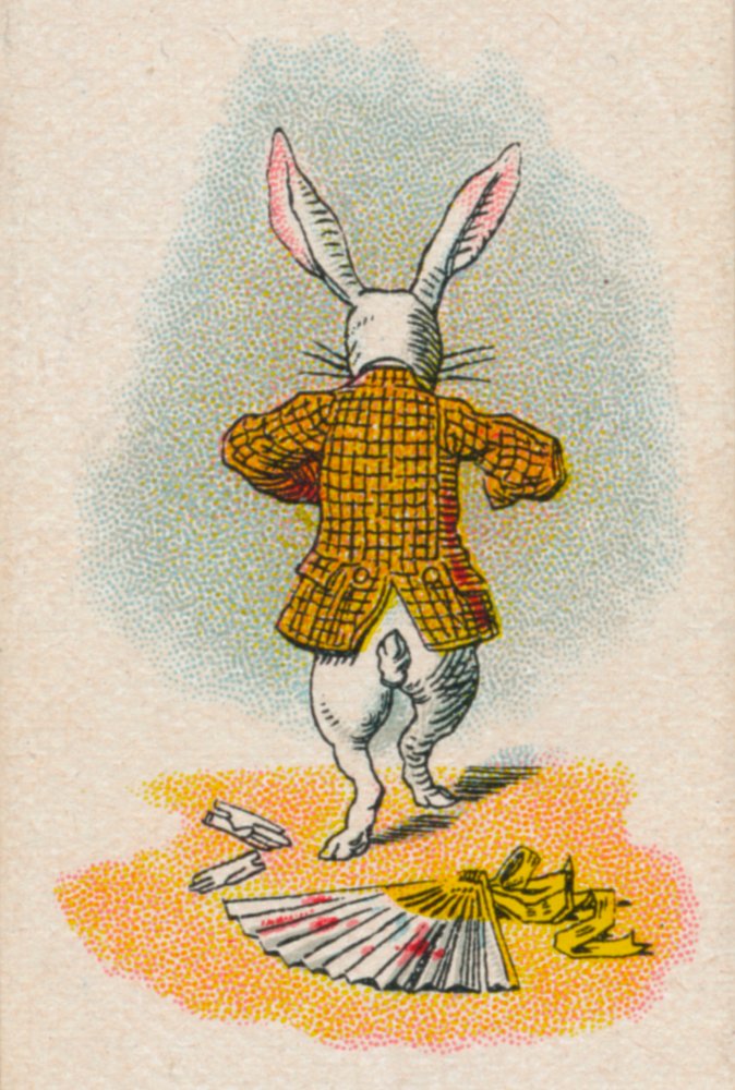 Le lapin s