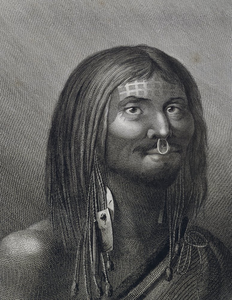 Homme polynésien de Nootka Sound, illustration de John Webber (1752-1793) réalisée lors du troisième voyage (1776-1779) de James Cook (1728-1779) - John Webber