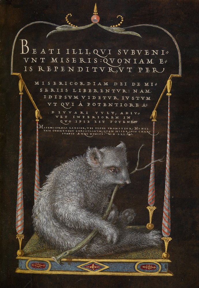 Un paresseux | Joris Hoefnagel | Estampe d'art