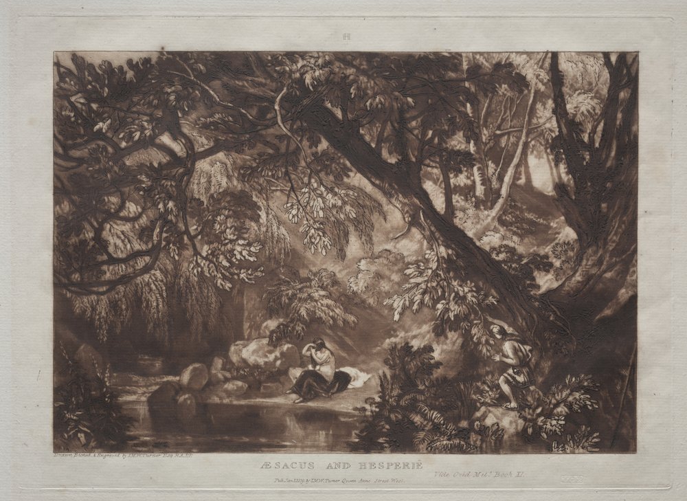 Liber Studiorum : Aesacus et Hespérie - Joseph Mallord William Turner